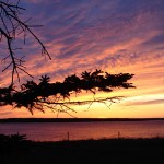 The Christian Future and the Fate of the Earth