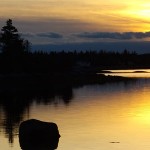 Praying With Women Mystics