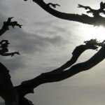 Restorative Justice
