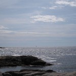 Growing a Christian Spiritual Ecology Retreat
