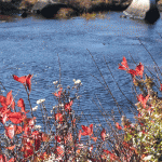 Reflecting on Abundance: An Autumn Retreat 